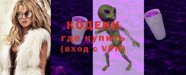 дмт Осташков