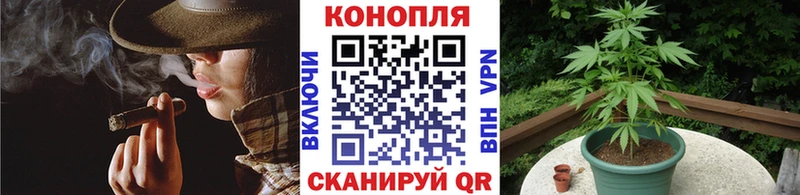 Бошки Шишки ГИДРОПОН  купить наркотики цена  сайты даркнета Telegram  Ноябрьск 